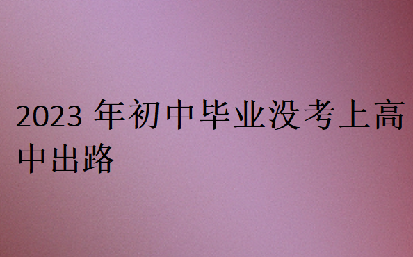 2023年初中畢業(yè)沒考上高中出路