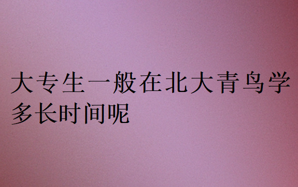 大專生一般在北大青鳥學什么