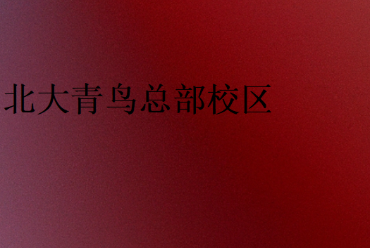 中博教育哪個校區比較有實力
