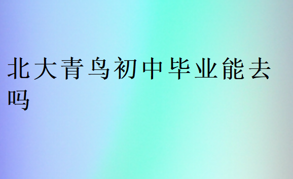 北大青鳥初中一年學費多少錢