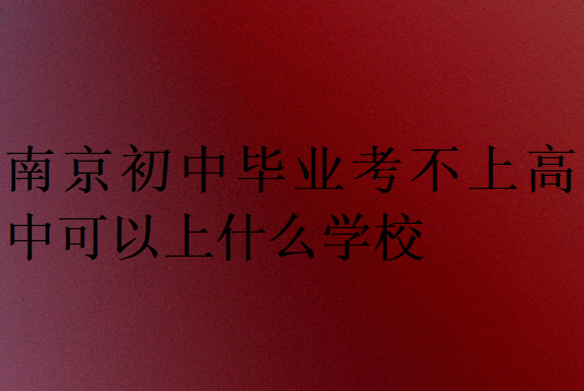 南京初中畢業考不上高中可以上什么學校