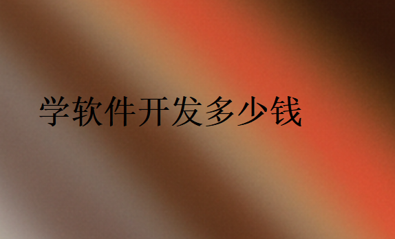 學軟件開發去哪個學校
