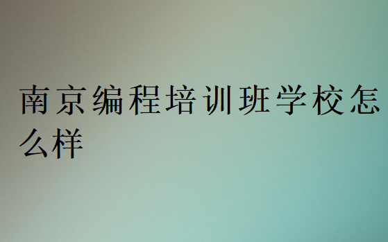 南京編程培訓班學校怎么樣