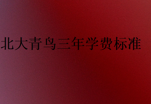 北大青鳥三年學費標準