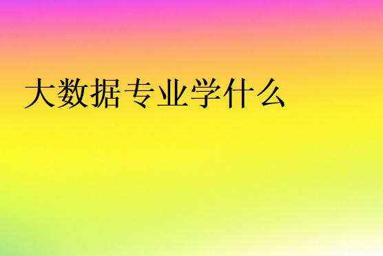 大數據專業學什么