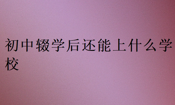 初中輟學后還能上什么學校
